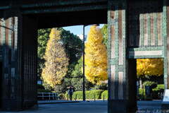 君の嫌いな東京も秋は･･･