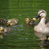 Mother’s Day