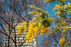 春がきたぁ×2、鼻に来た、目にも来た