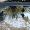 なんとなく欧米の公園気分で