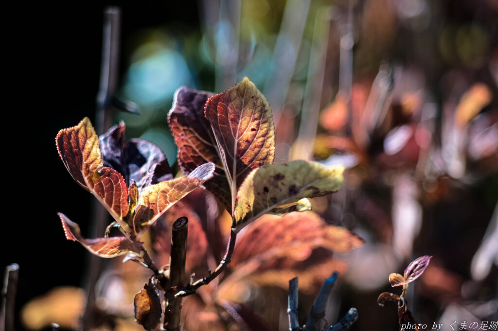 それはまだ先のこと