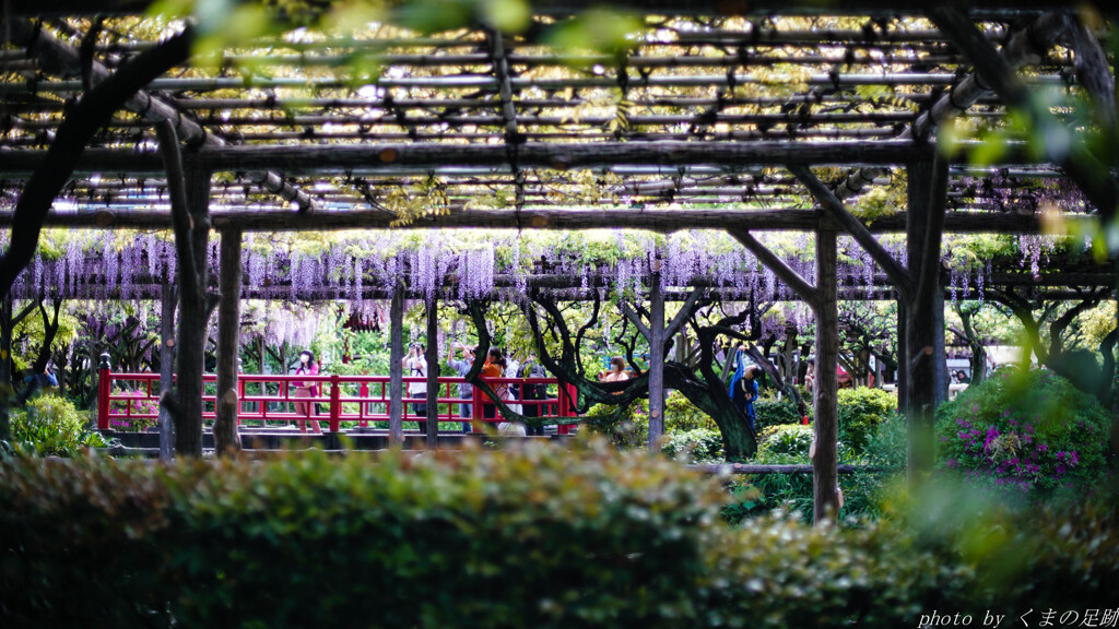4月25日 天神通信 -Violet Approach-