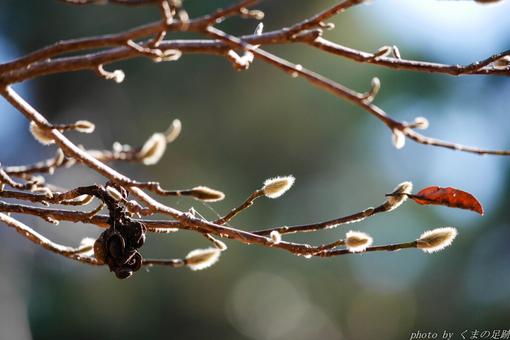 木枯し紋次郎？