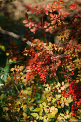 世界が彩られていたころ