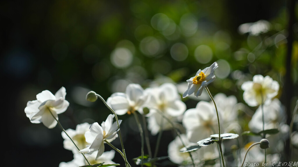 天に三日の晴れ間なし