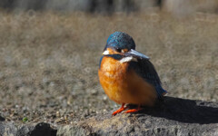 慣れと気の緩み
