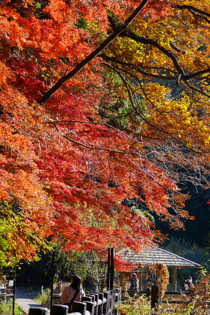 言葉では言い尽くせない色々