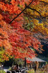 言葉では言い尽くせない色々