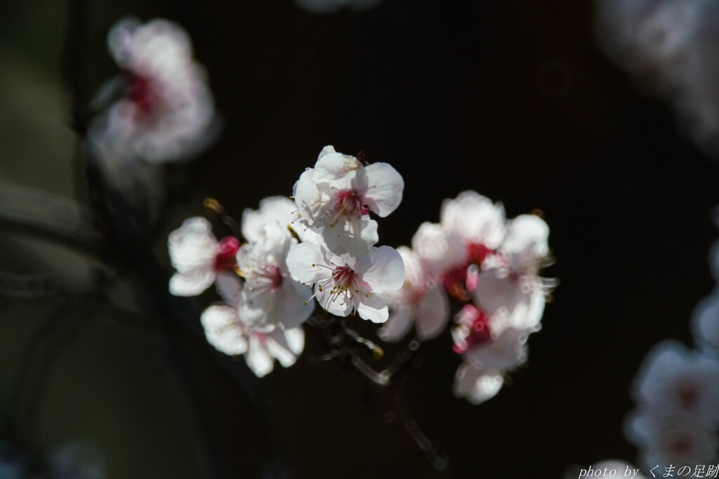 片隅で