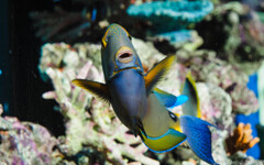 なんか良いことあったのね