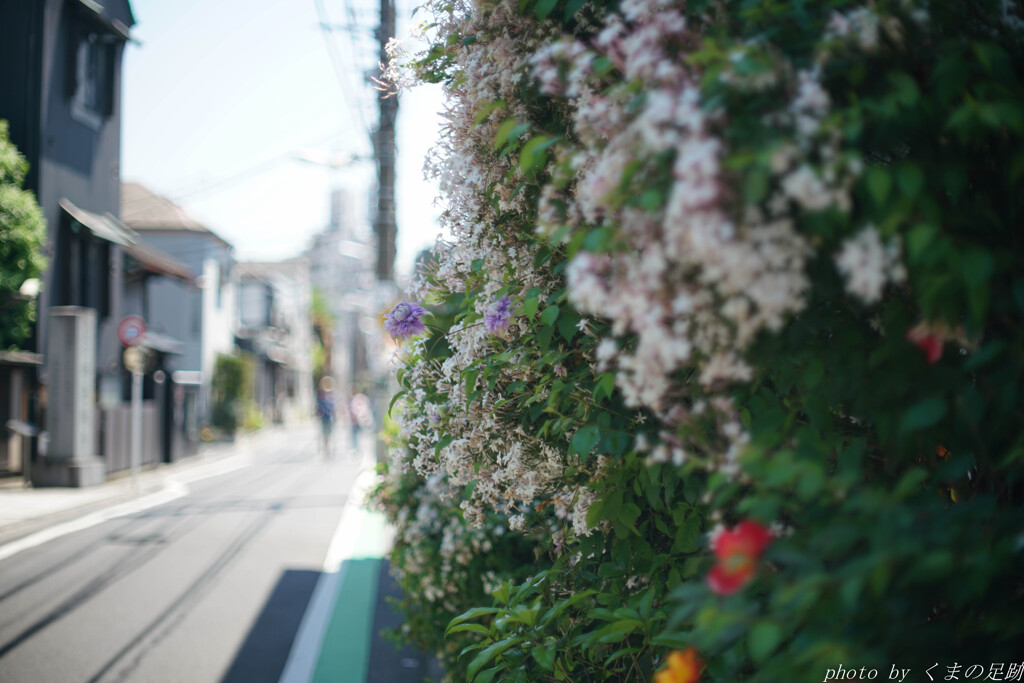 香り立つ道
