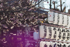 寒さはこれから