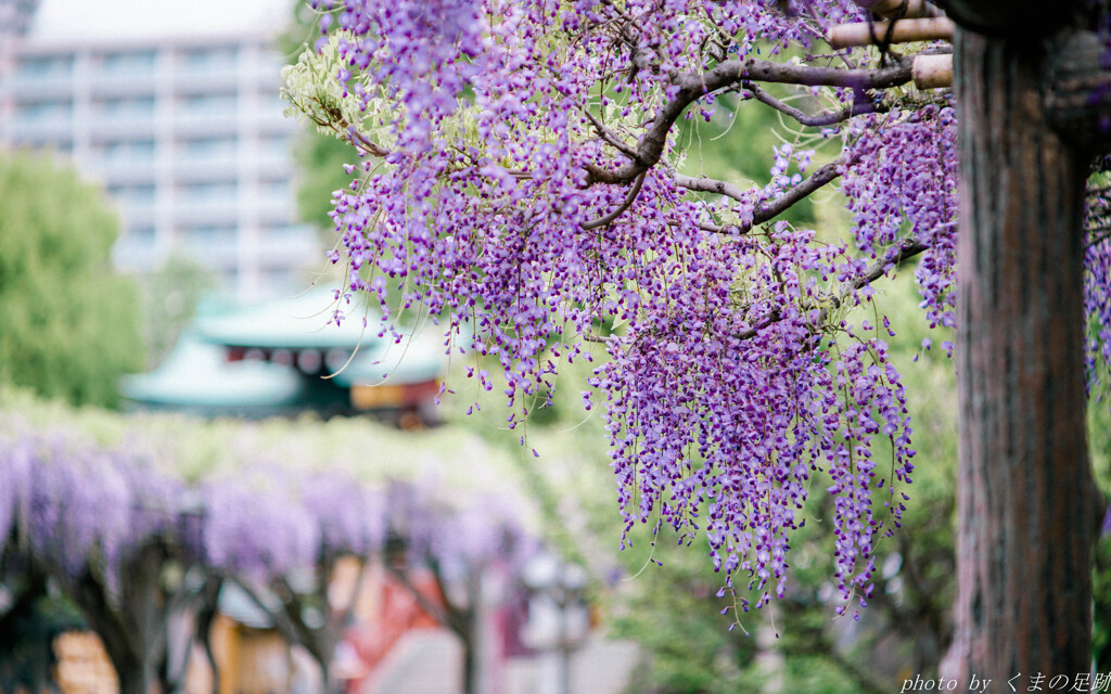 4月21日 天神通信 2