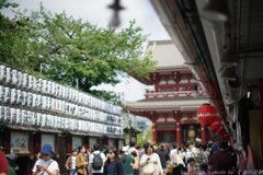 夏も近づく