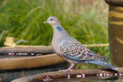 今日は良い関係