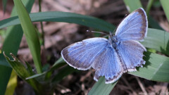 もっと早く逢えたら