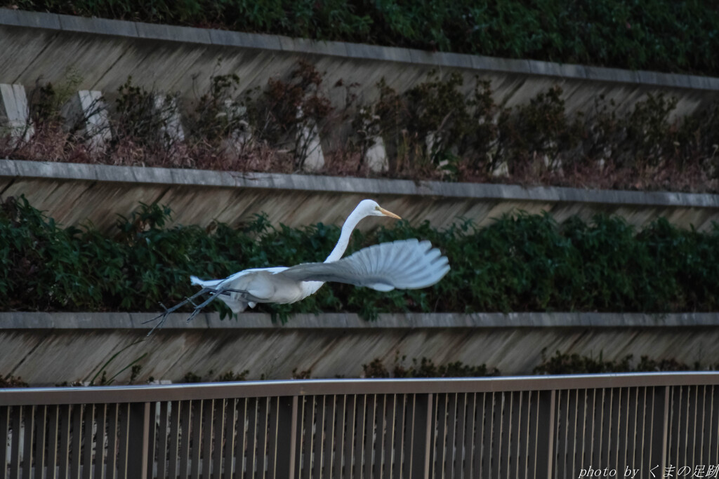 飛んでイスタンブール？