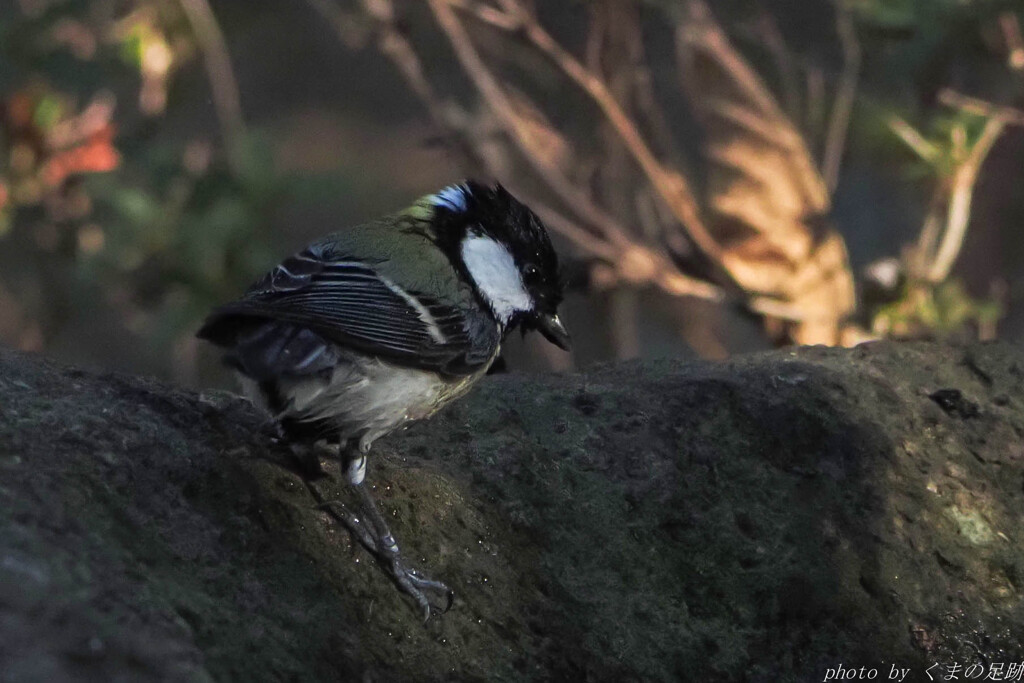 実践 Ⅲ ～水行～