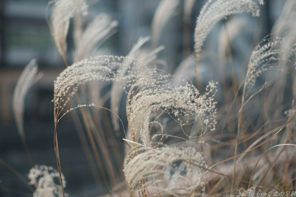 Winter notes
