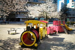 お花見列車