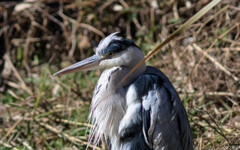 今日は調子が悪いのよ