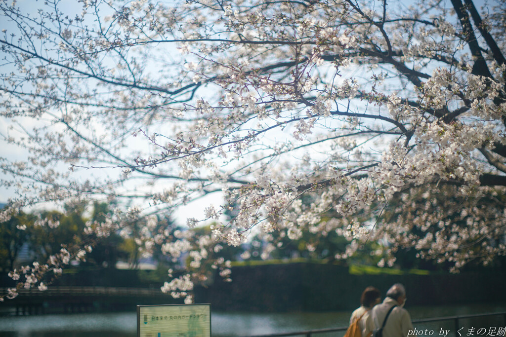 ほとり