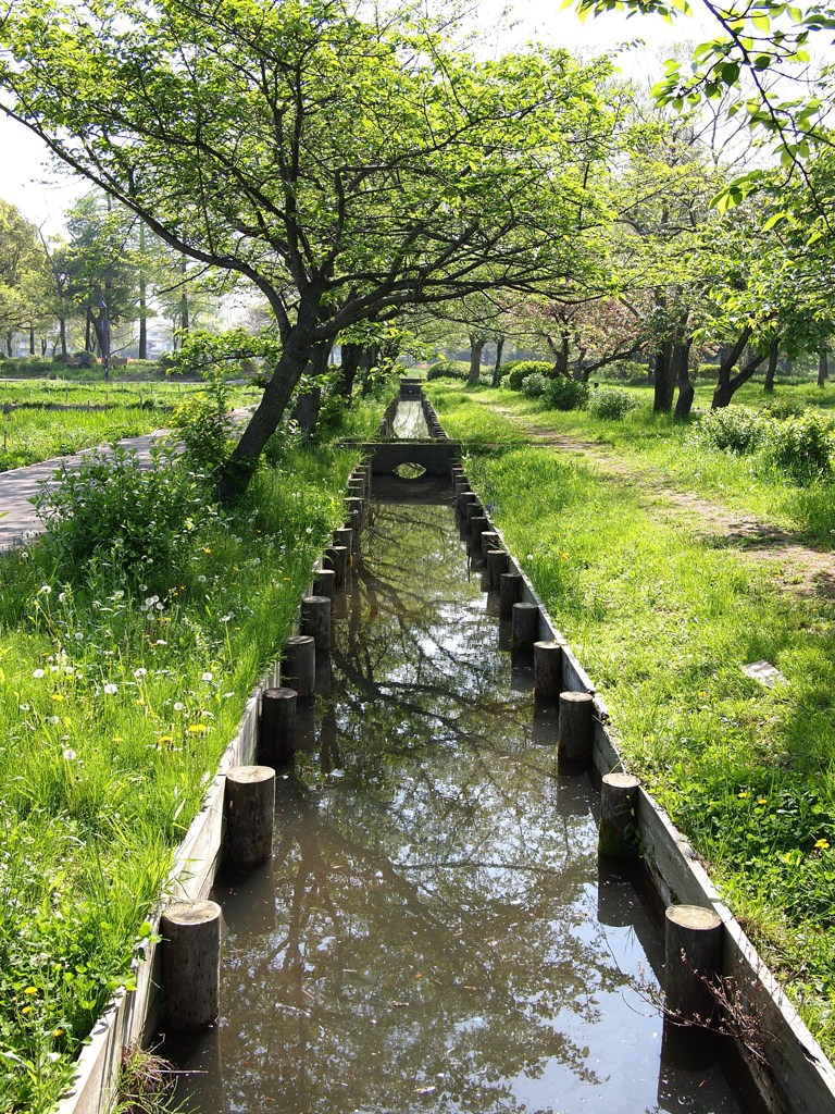 初夏のたたずまいⅨ