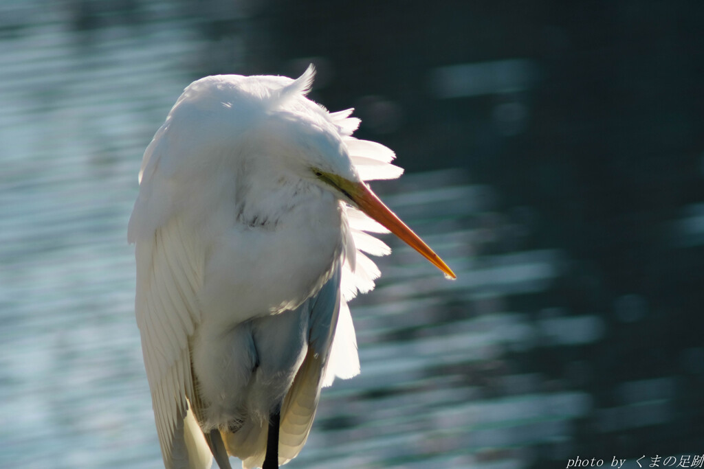 そうさ僕らはいつだって風に吹かれている