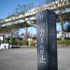 あれもこれも