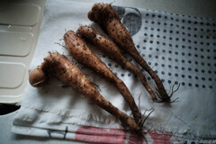 むかごからの山芋