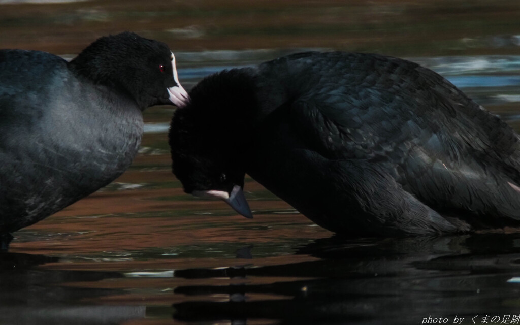 正月早々やらかしてしまったか ⁉
