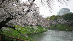雨の日はノーファィンダー