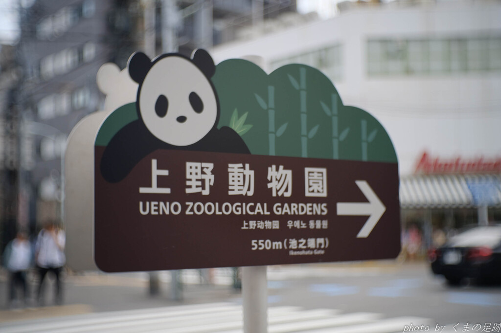 かわいい案内板