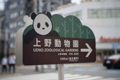 かわいい案内板