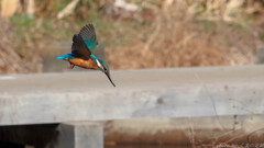 辿り着いたところは