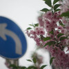 季節の進む道