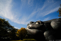 空にあこがれて