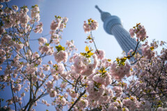 溢れんばかりに
