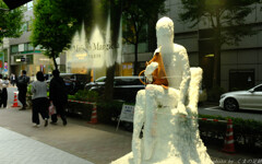 気分はおのぼりさん