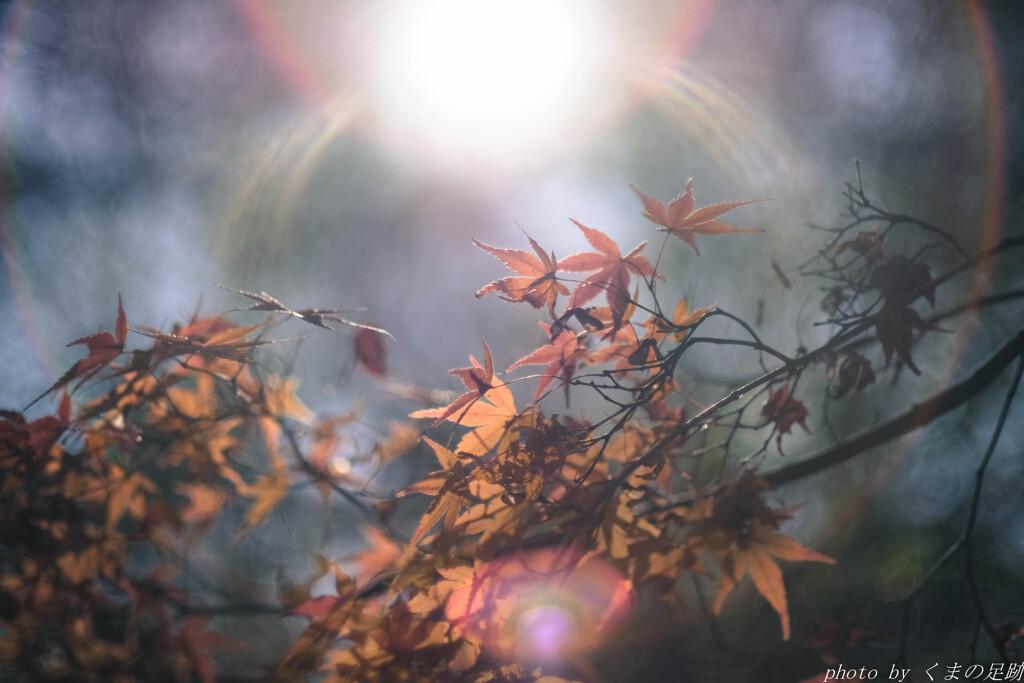 ふたりがひとつだった頃