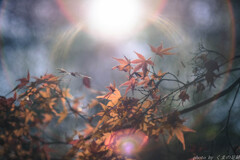 ふたりがひとつだった頃