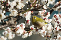 タテのものをヨコにする