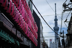 しるべの塔