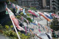 吹いて欲しいようなよくないような
