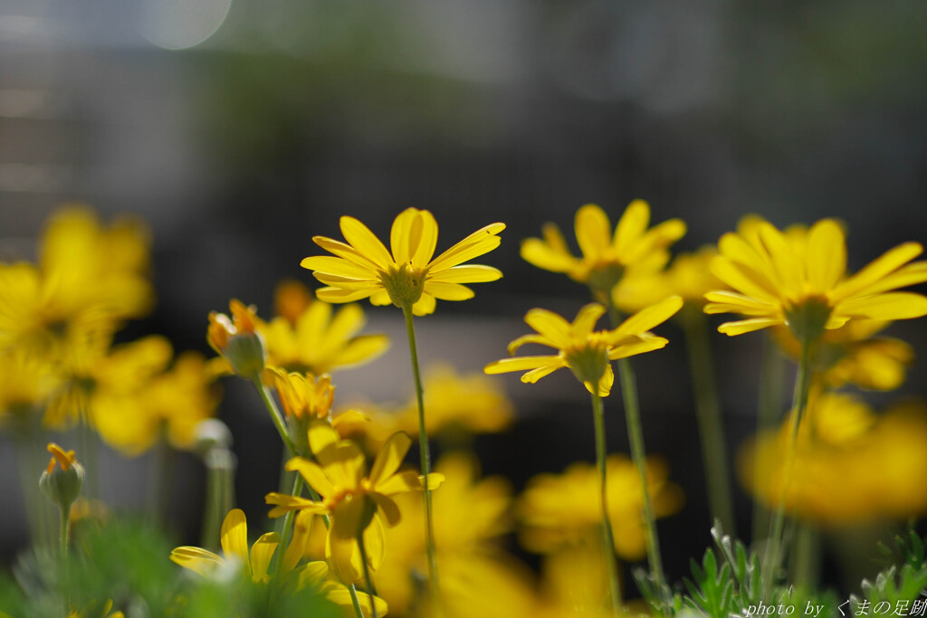 雨のち晴れのち雨