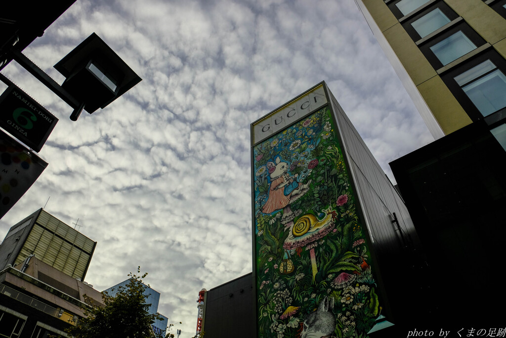 不思議の国への扉が開く