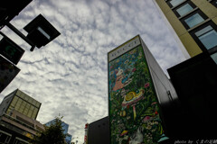 不思議の国への扉が開く