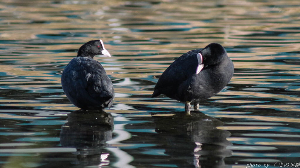 "あ？"と”ん？”