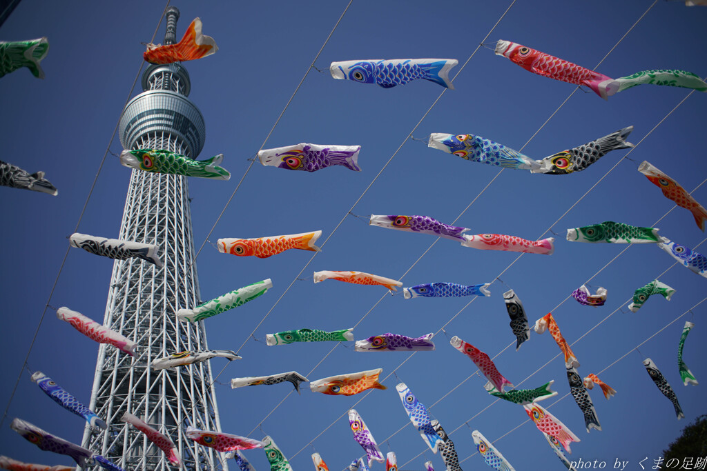 下町わんぱく博開催