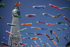 下町わんぱく博開催